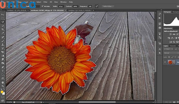 Hướng dẫn cách đảo ngược vùng chọn trong photoshop dễ nhất