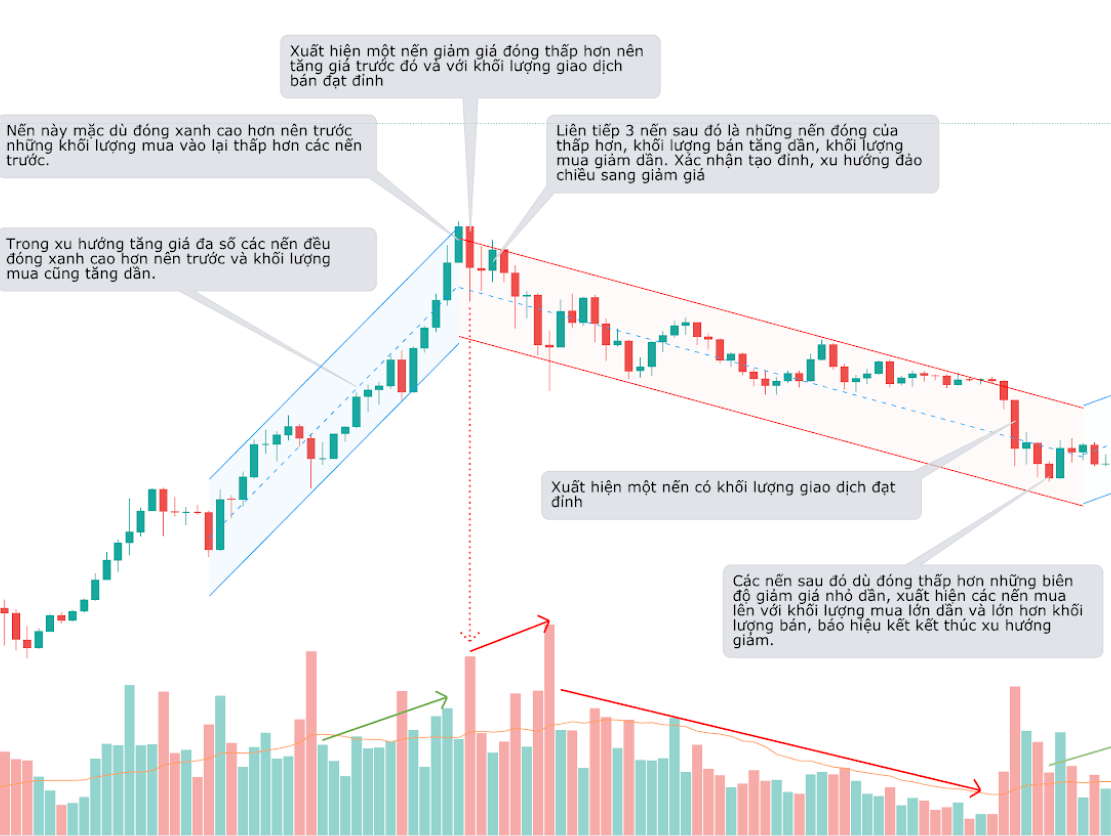 Volume là gì? 04 chiến lược giao dịch hiệu quả với chỉ báo Volume