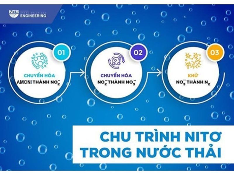 Trang chủ - Công ty TNHH Kỹ thuật NTS