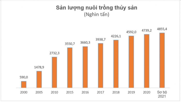 Thách thức lớn của ngành nuôi trồng thuỷ sản nước ta hiện nay