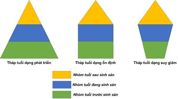 Bài 37: Các Đặc Trưng Cơ Bản Của Quần Thể Sinh Vật